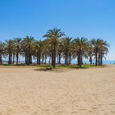 Apartament Cubo's Sol Y Arena Playamar